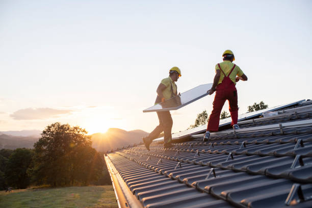 Best Roof Moss and Algae Removal  in Tompkinsville, KY